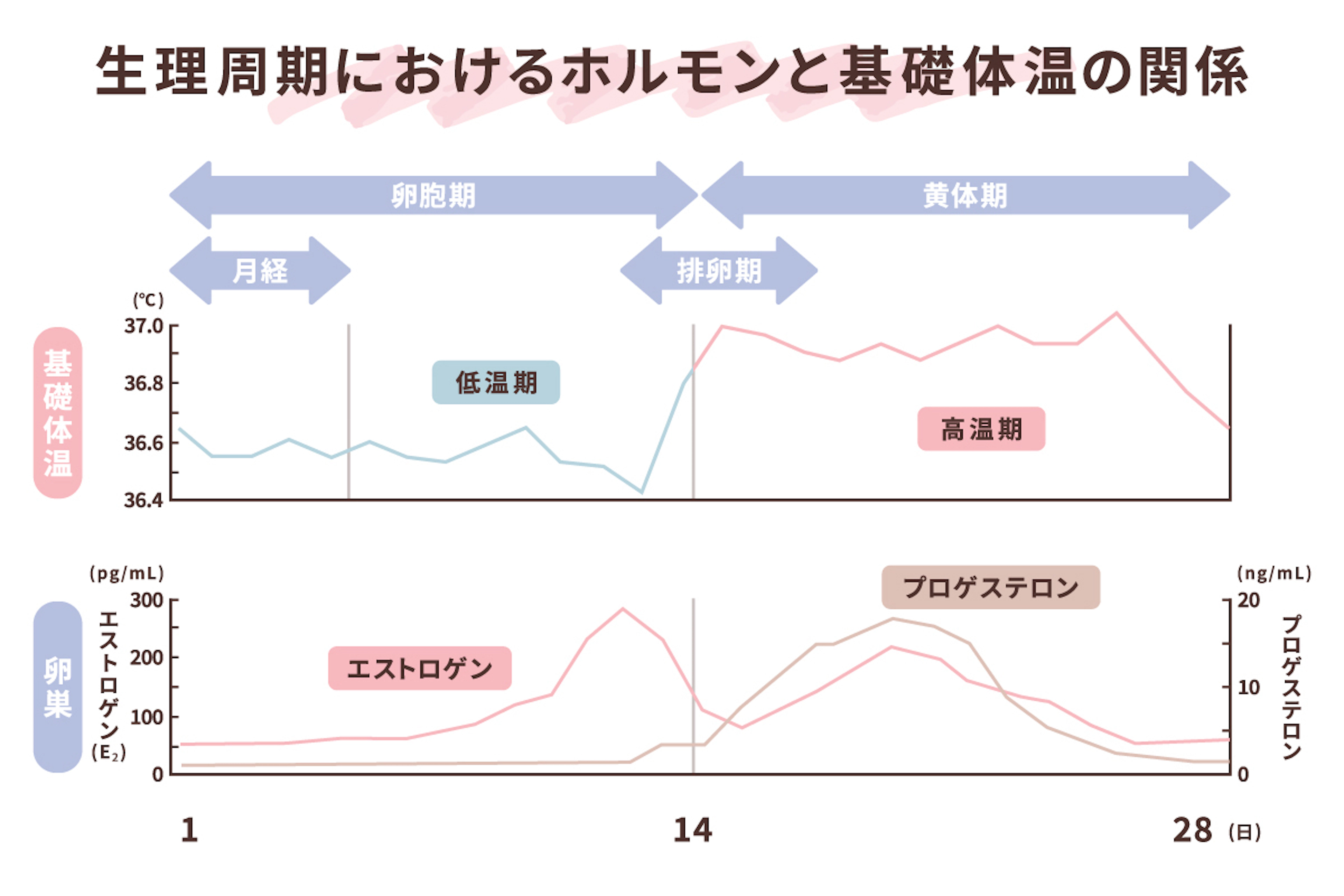 report
