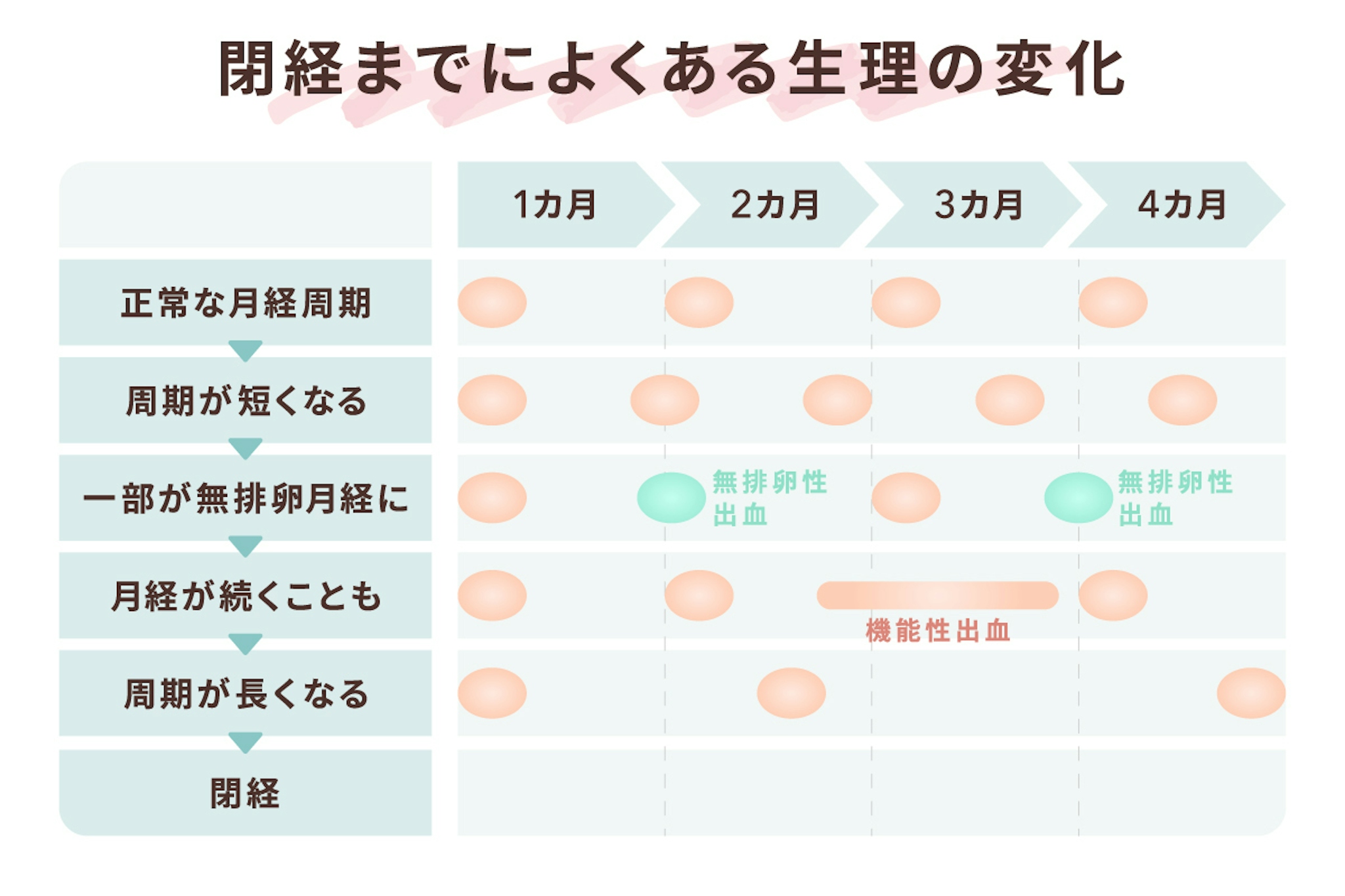 更年期になると生理が変わる？変化する理由や月経周期を解説